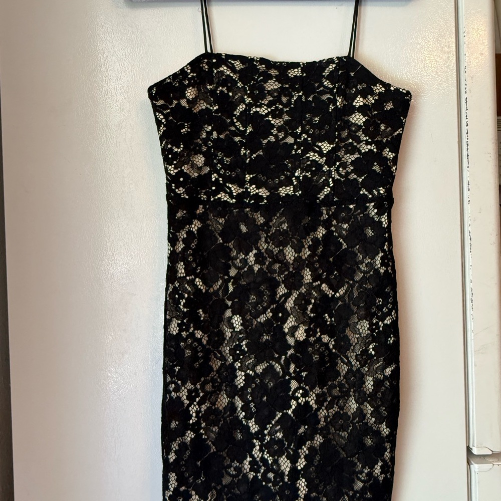 Willow Black Lace Strapless Sheath Dress